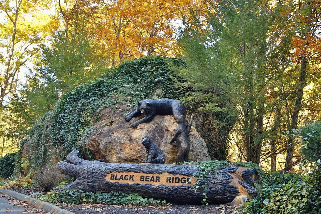Rising Eagle Lodge - Eight Bedroom Pigeon Forge Exteriör bild